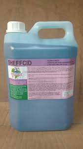 DESINFETANTE 5L QUATERNÁRIO SHEFFCID BRASQUIMICA